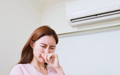 How To Reduce Indoor Air Pollution?