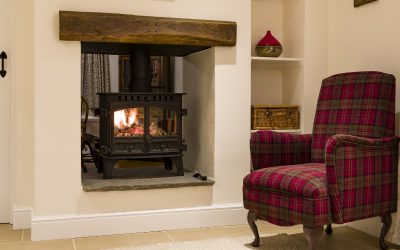 What Is The Future For Wood Burning Stoves?