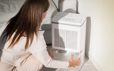 How Does Whole House Dehumidifier Work?