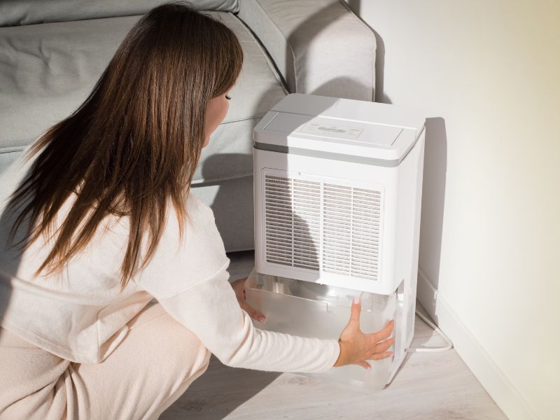 How Does Whole House Dehumidifier Work?