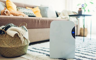 How Long Does It Take For a Dehumidifier To Dry In a House?