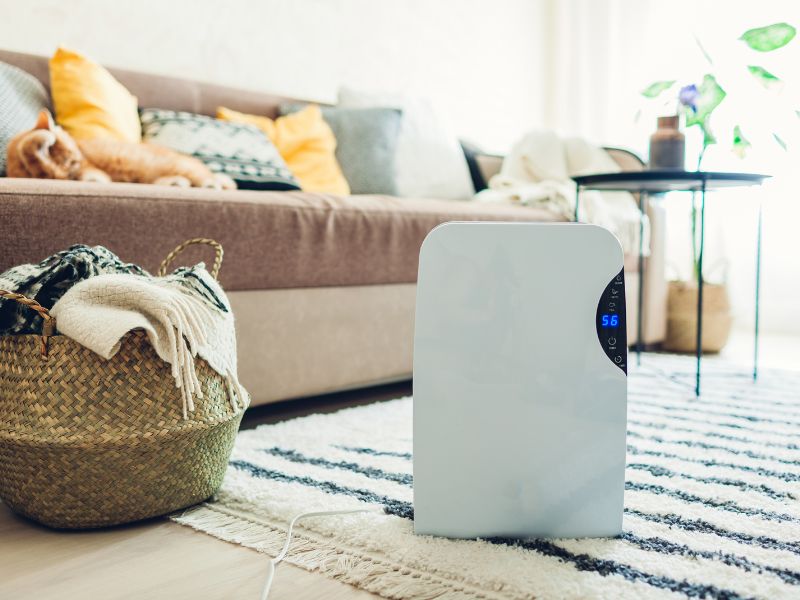 How Long Does It Take For a Dehumidifier To Dry In a House?